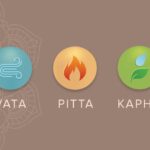 vata, pitta, kapha, ayurveda in kolkata, panchakarma in kolkata