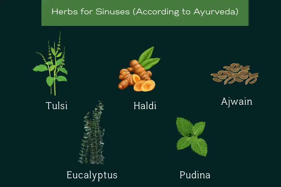 AYURNEST AYURVEDA BLOG 1 2