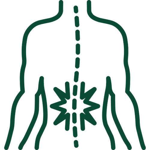 Lower Back Pain